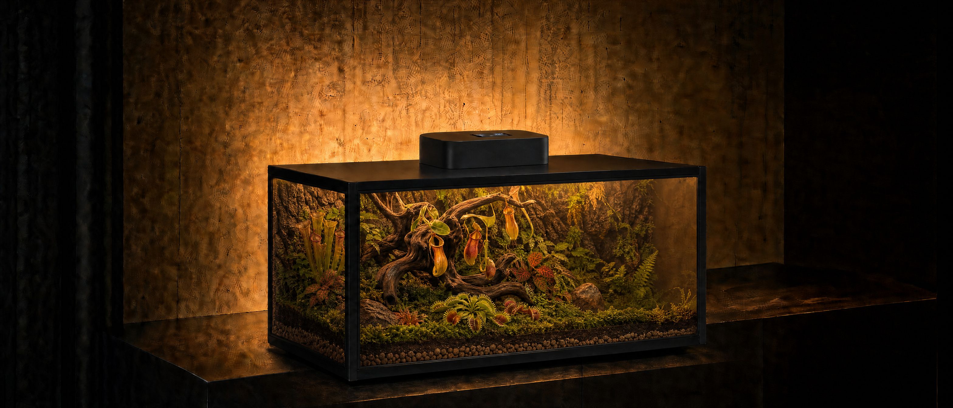 The same terrarium at night in a dark room, glowing from within under its grow light, backlit pitcher plants and moss behind the glass.