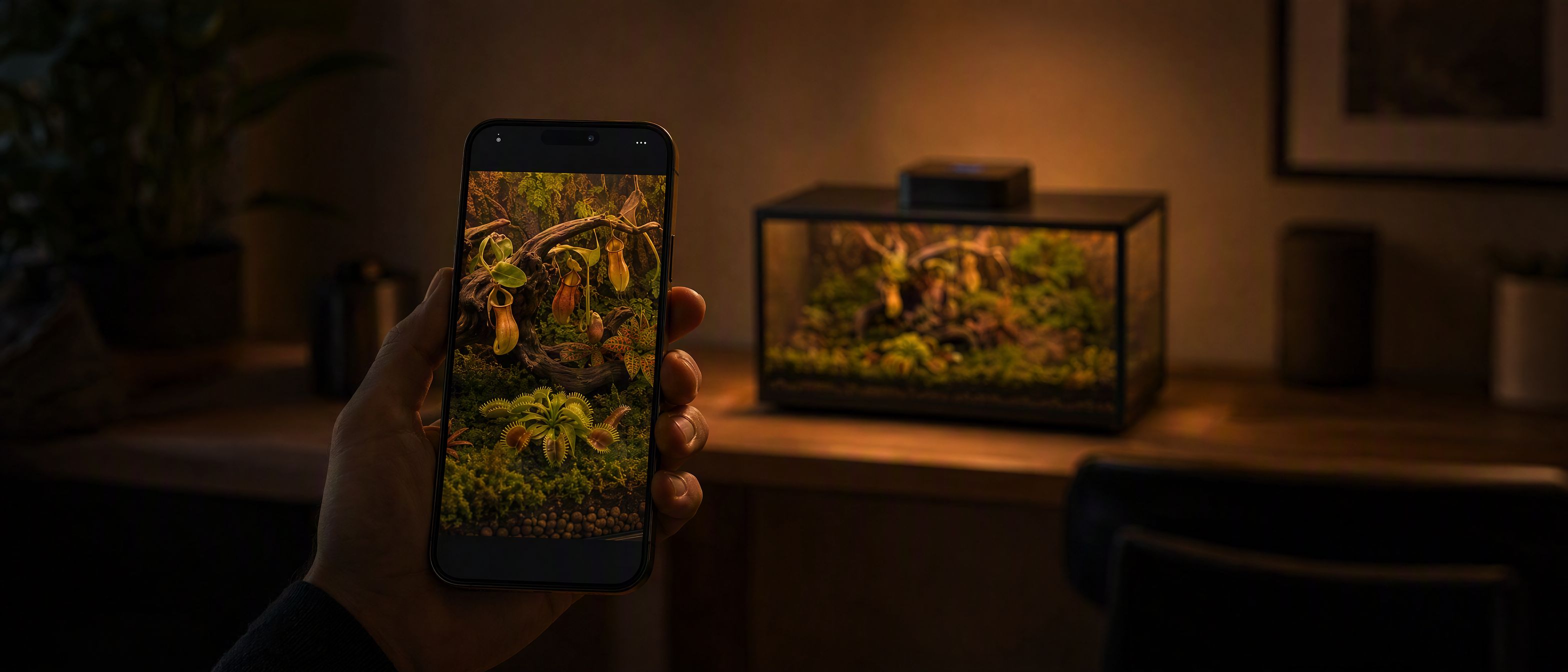 A phone held in a dim room showing a live view inside the terrarium, with the terrarium itself glowing on a shelf behind.